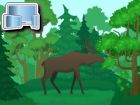 Wild Animals Coloring, Gratis online Spiele, Kinderspiele, Ausmalbilder, HTML5 Spiele